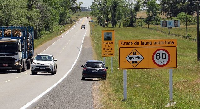 CARTELERIAFAUNA