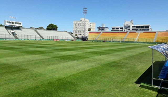 ESTADIO CAMPUS