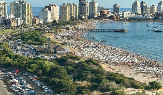 playa punta