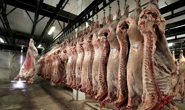 FRIGORÍFICOS
