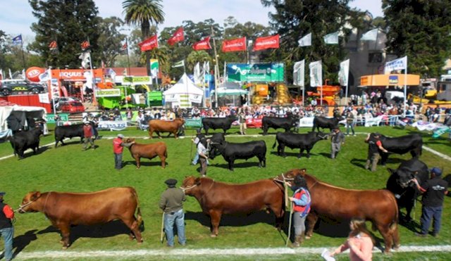 PRADO EXPONE