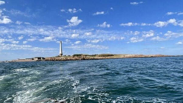 Isla de lobos
