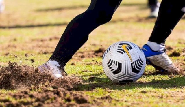 pelota div 2