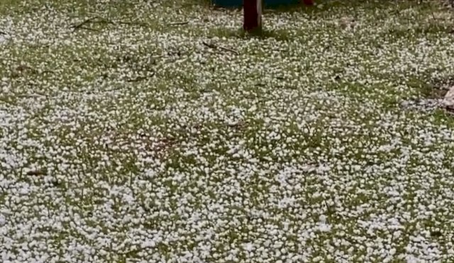 Granizo 18.9