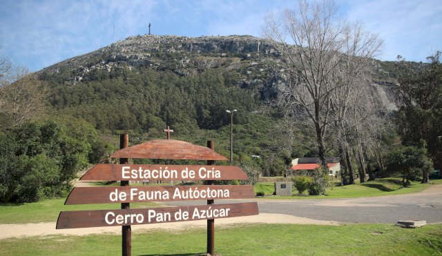 ESTACION DE CRIA