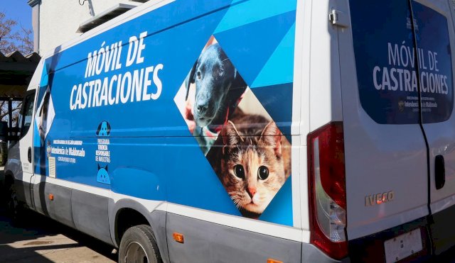 Castraciones 