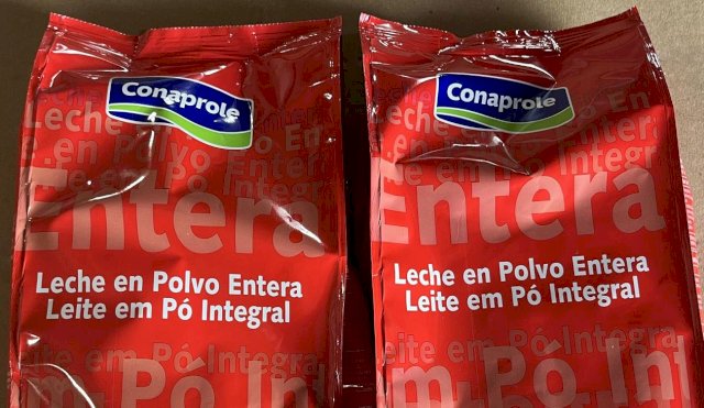 Leche en polvo