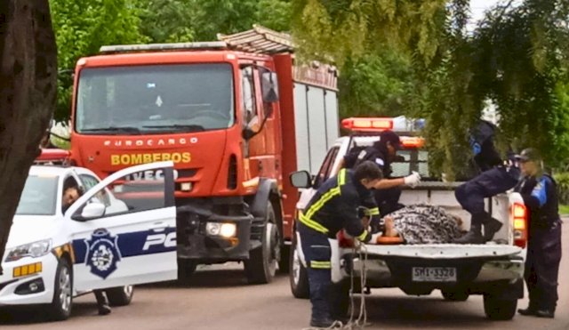 Policía y bomberos