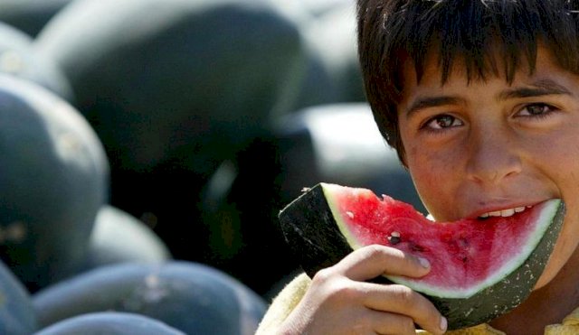 SANDIA