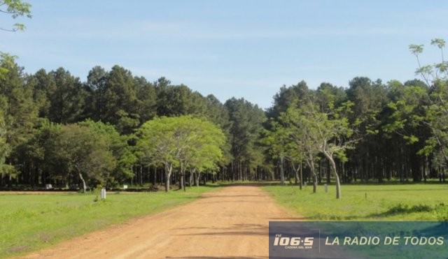 Chacras del Pinar