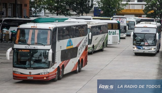Omnibus 