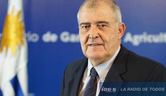 diego de freitas