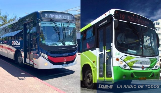 Transporte de pasajeros