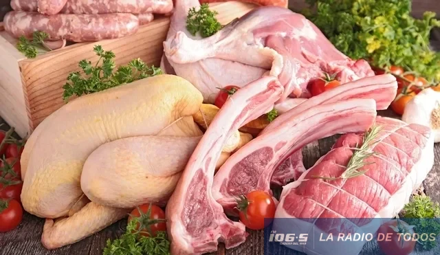 CARNES