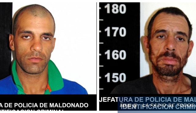 Andrés y Federico 