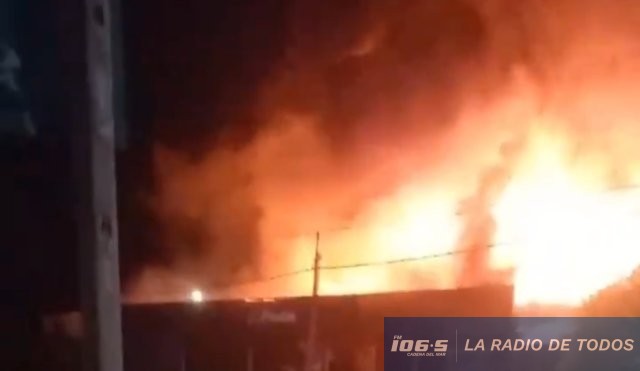 Incendio el Puestín 