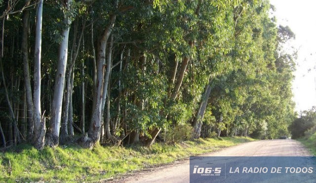 CAMINO DE LOS CEIBOS
