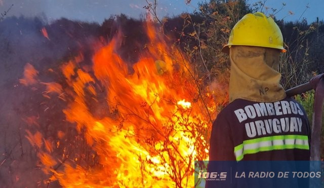 Camino de los ceibos 