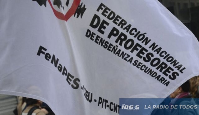fenapes