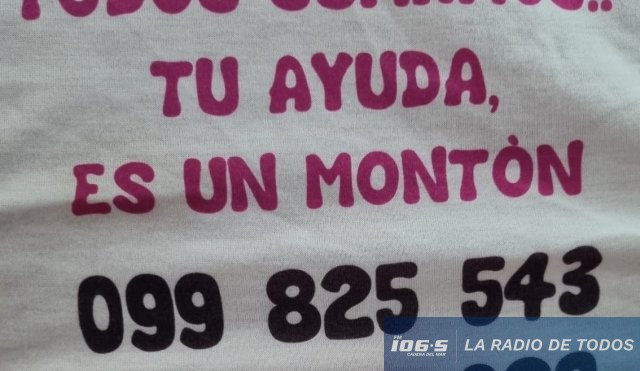 colaboracion