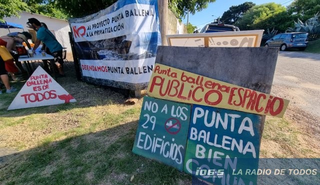 Punta ballena 