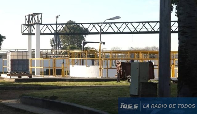 ose san carlois