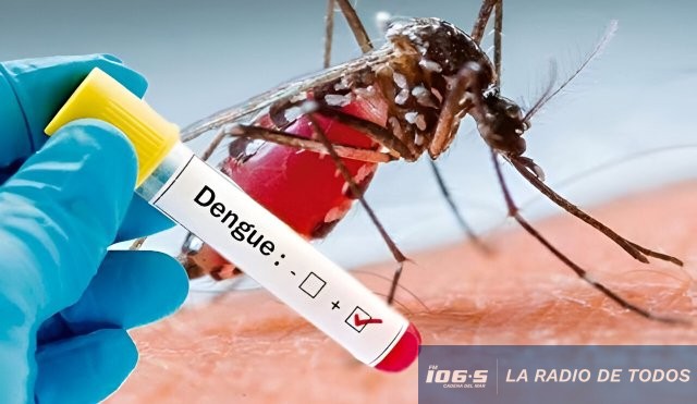 dengue
