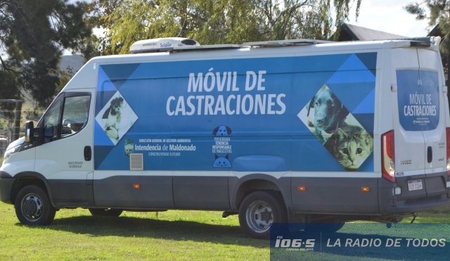 castraciones