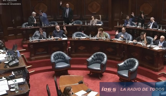 senado