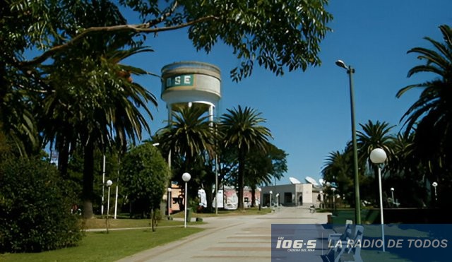 PAN DE AZUCAR