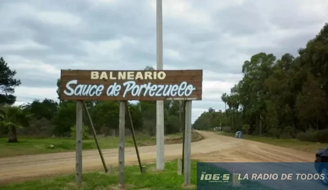 sauce de portezuelo