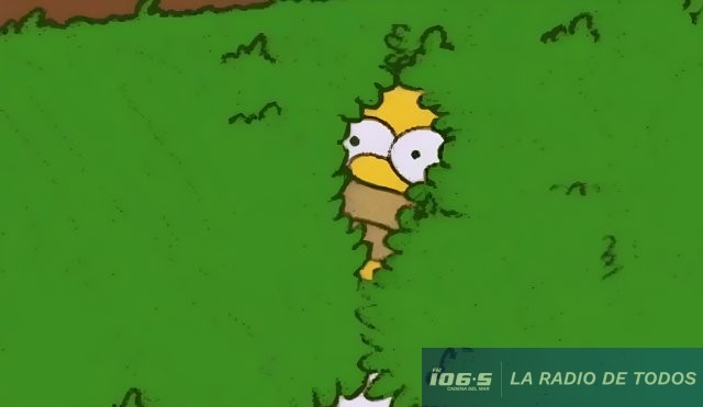 homero1