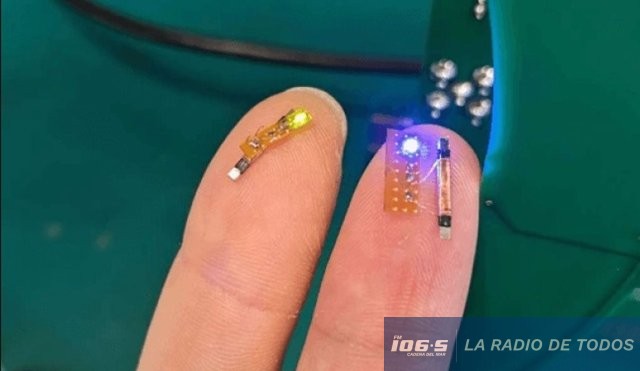 Neurochip