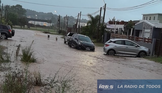 Jardines de Acuario 