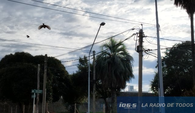 Clima 