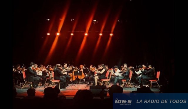 Camerata de cuerdas