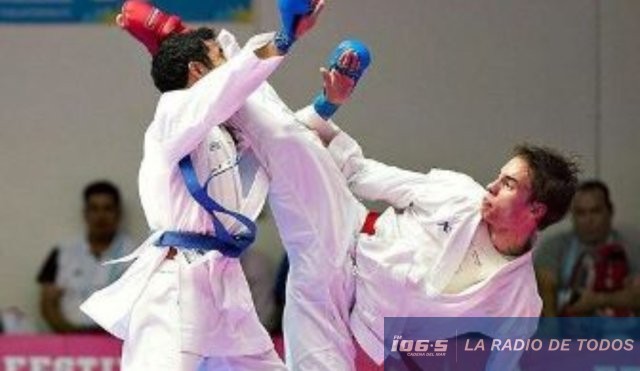 Para karate
