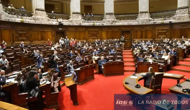 senado