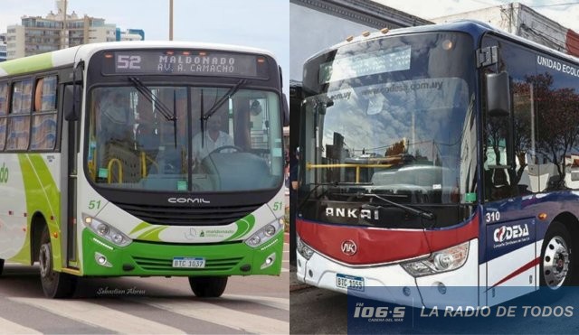 Buses Maldonado 