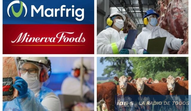 MINERVA FOODS