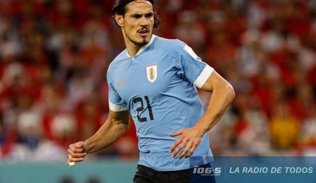 cavani