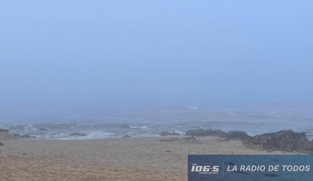 niebla