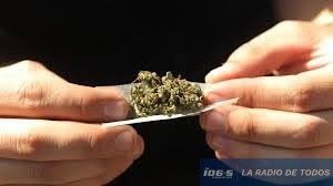 Marihuana