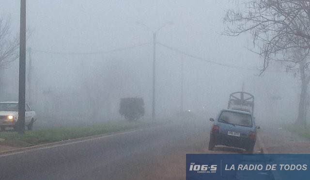 niebla-auto