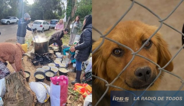 animales kennedy