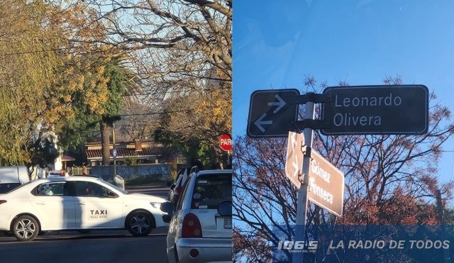 accidente de transito en maldonado