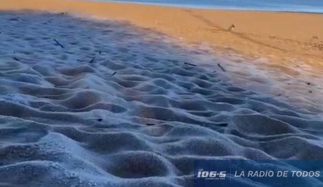 Playa-helada