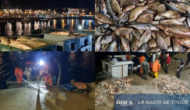 CORVINA