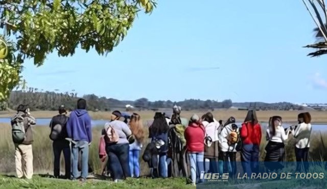 OBSERVACION AVES