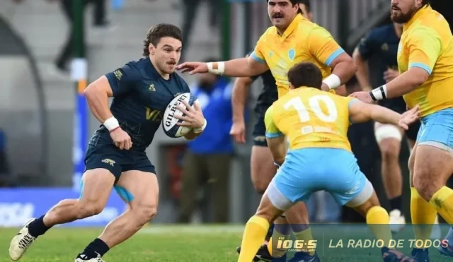 LOS PUMAS 